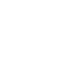 phone (1)